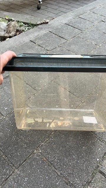 Terrarium, Enlèvement, Utilisé, Terrarium ou Paludarium