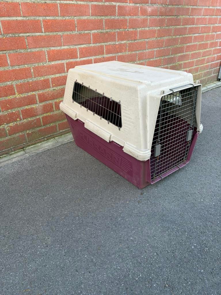 Honden of katten bench, Ophalen, Zo goed als nieuw