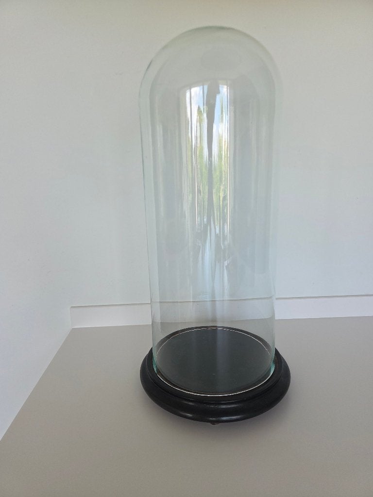 glazen stolp, Verre, Enlèvement