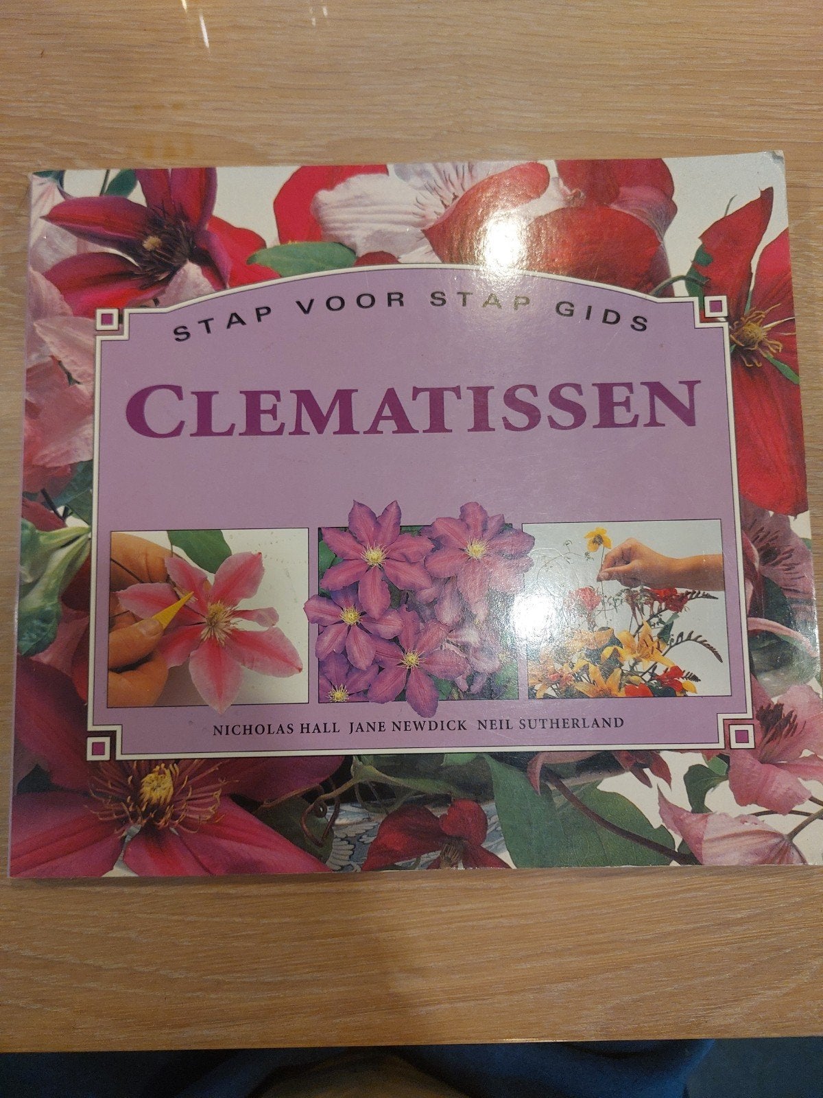 Stap voor stap gids Clematissen, Gelezen, Ophalen of Verzenden, Tuinieren en Tuinplanten, Nicholas Hall & Jane Newdick & Neil Sutherland