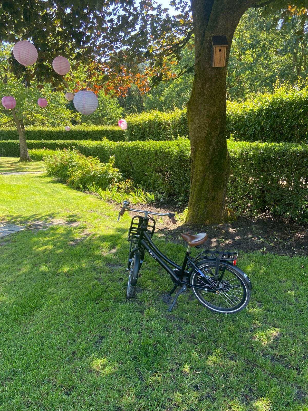 Meisjesfiets popal, Ophalen, Gebruikt, 22 inch