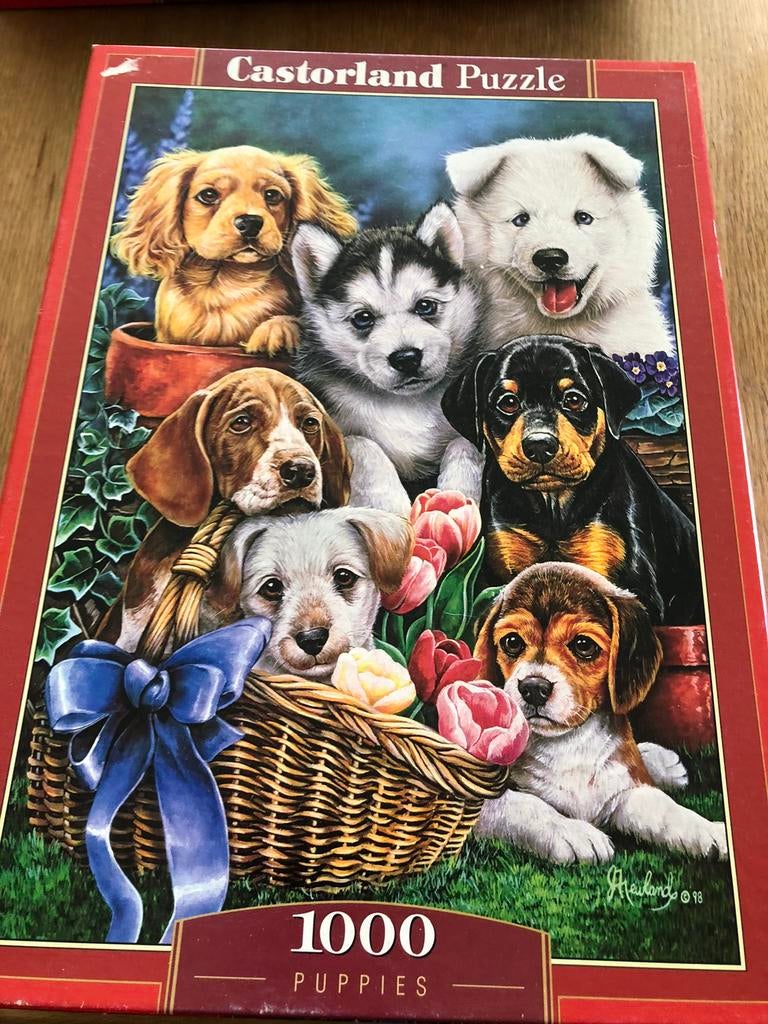 Castorland puzzel 1000stukjes, Ophalen