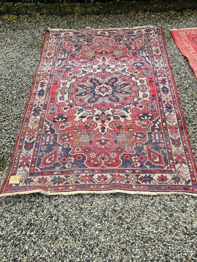 Tapis d'orient, Maison & Meubles