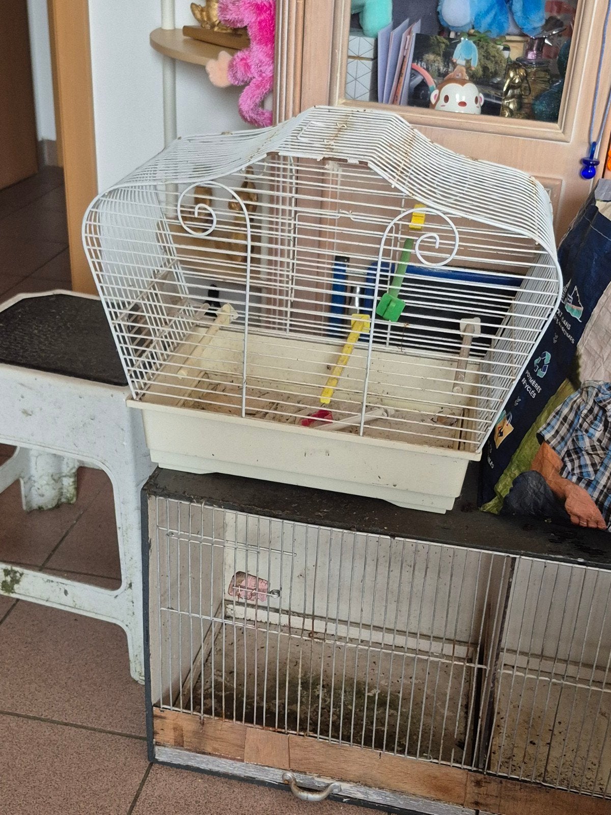 petite cage a vendre 10 euro