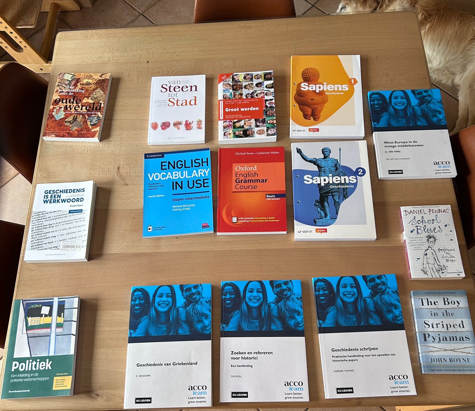 Lot boeken in goede staat, Boeken, Ophalen, Nieuw, Hogeschool