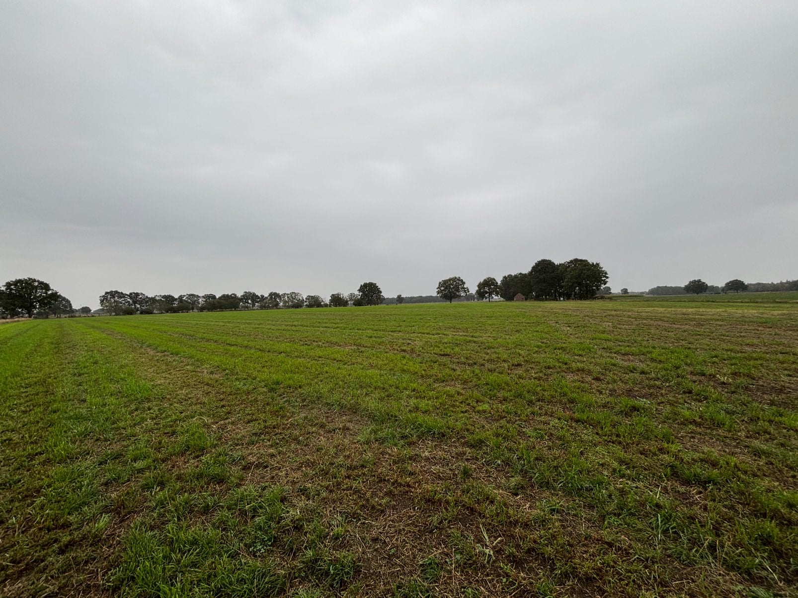 6 weideplaatsen Brecht, Dieren en Toebehoren, Weidegang, 4 paarden of pony's of meer