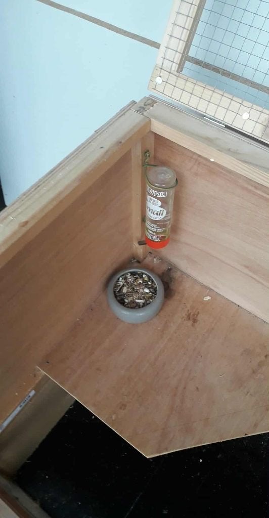 hamster verblijf, Animaux & Accessoires, 75 à 110 cm, Enlèvement, Utilisé, Autres types