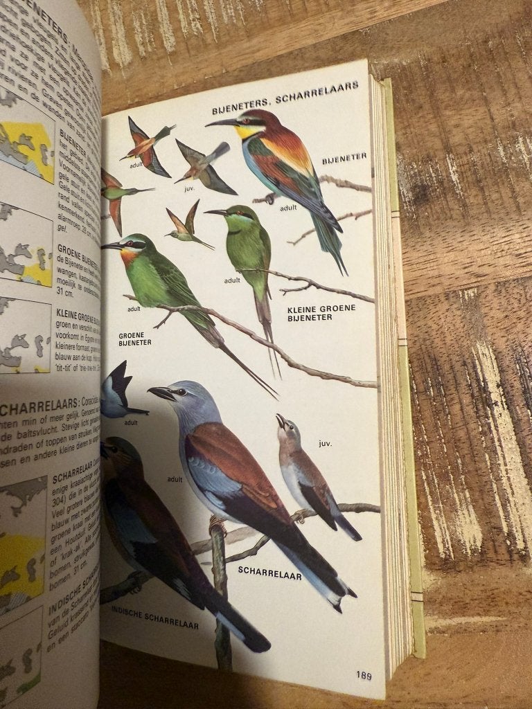 De Europese vogels in kleur, gids voor alle vogels van Euro, Gelezen, Ophalen of Verzenden, H. Heinze, R.S.R. Fitter, J.F. Parslow