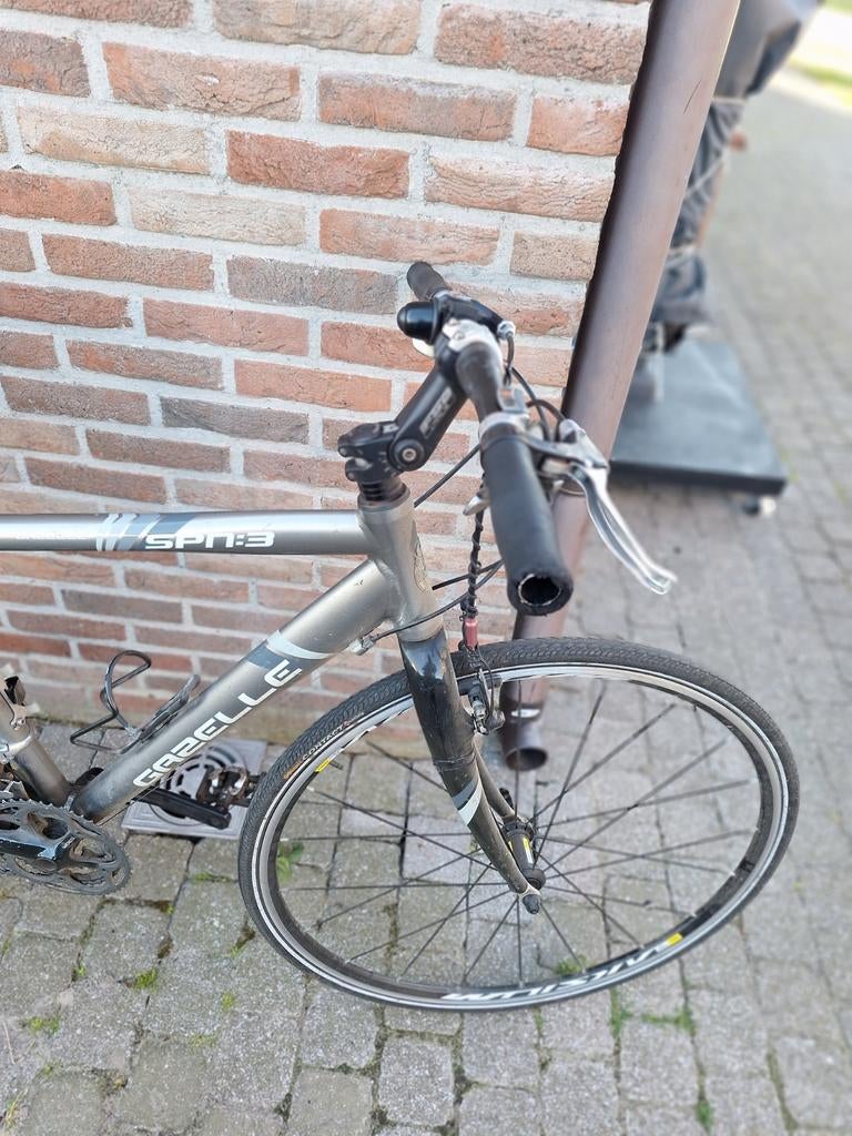Te koop Gazelle sportfietsen .maat 52man 46 dames., Ophalen
