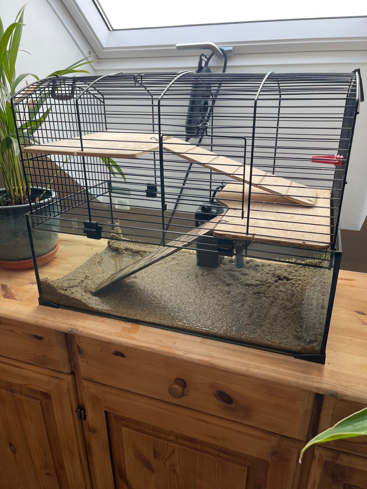 Aquarium voor waterschildpadden, Dieren en Toebehoren, Ophalen, Zo goed als nieuw