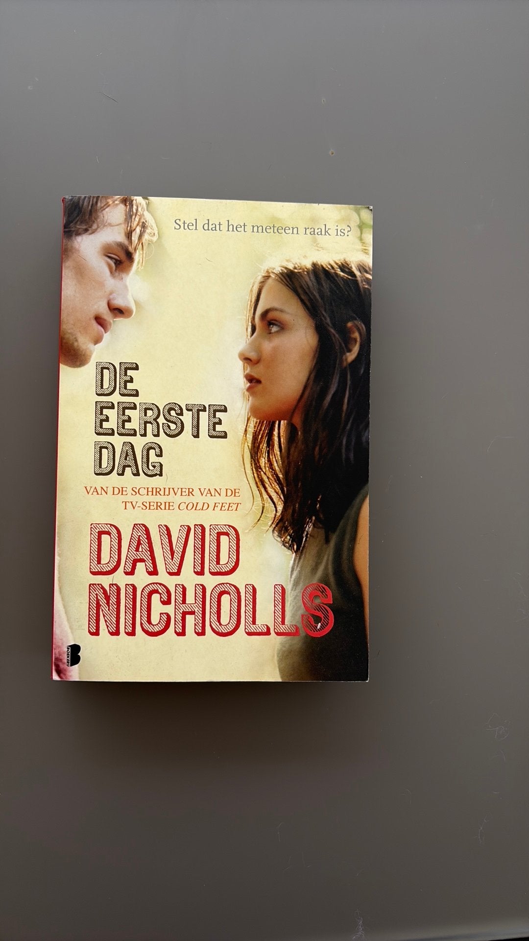 De eerste dag - David Nichols, Boeken, Chicklit, Ophalen, Zo goed als nieuw