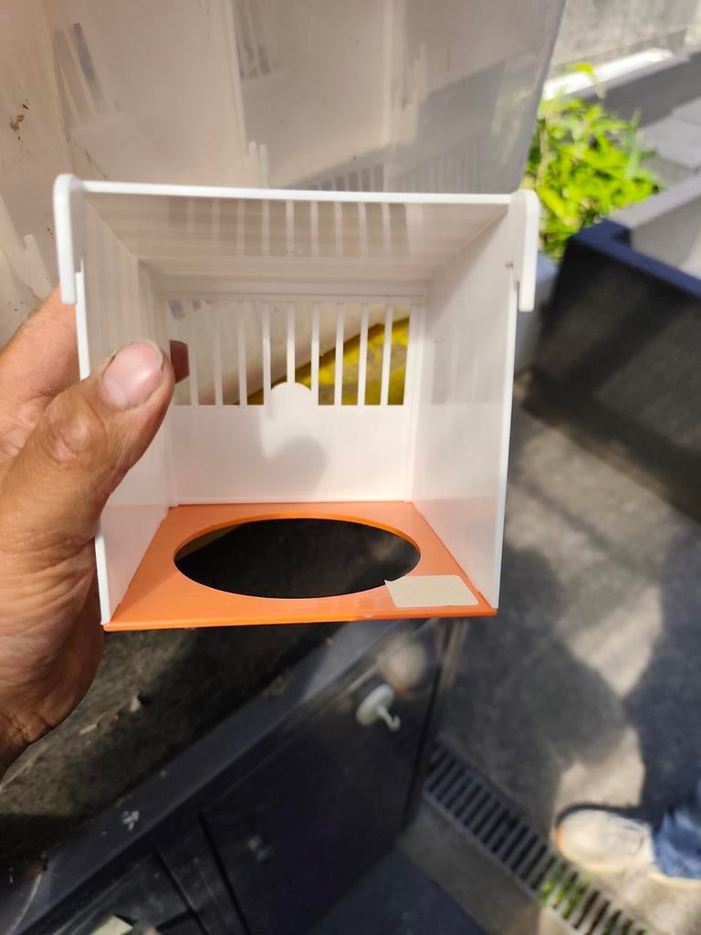 Kanarie nest kastjes