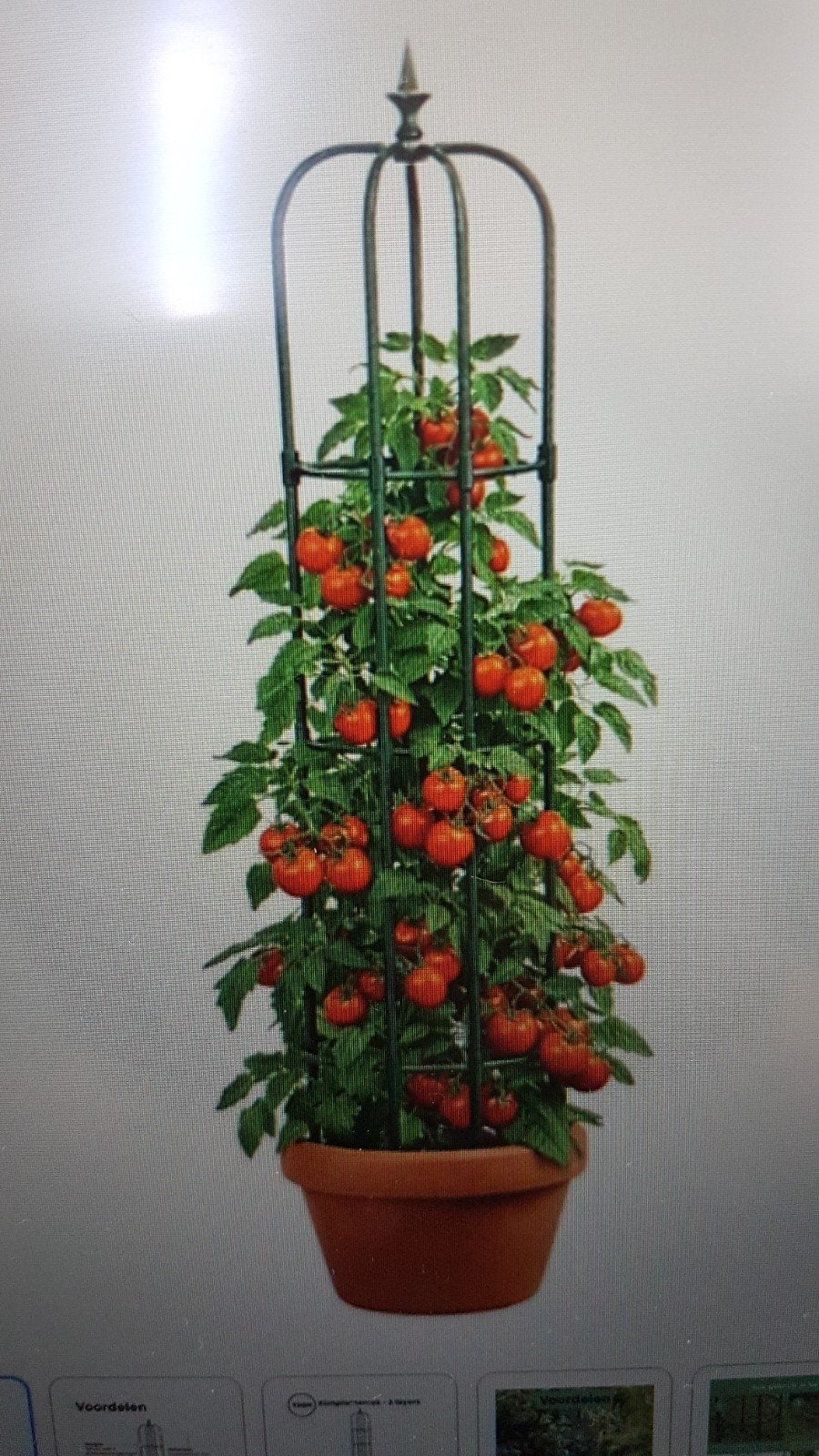 Nieuw Plantensteun voor klimplanten, Tuin en Terras, Ophalen