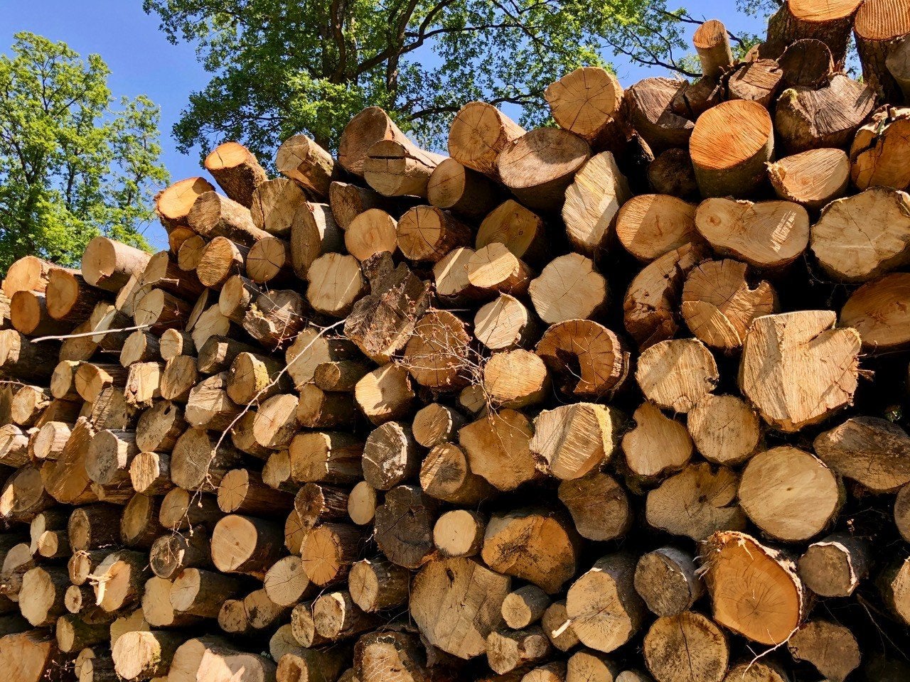 bois de chauffage, Jardin & Terrasse, 6 m³ ou plus, Enlèvement ou Envoi, Autres essences de bois, Bûches