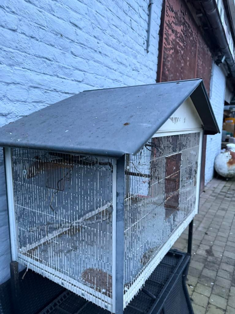 Vogelkooi voor buiten, Dieren en Toebehoren, Vogels | Hokken en Kooien, Ophalen, Gebruikt, Vogelkooi