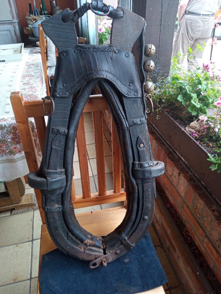 paardengetuig, Ophalen, Gebruikt, Recreatie