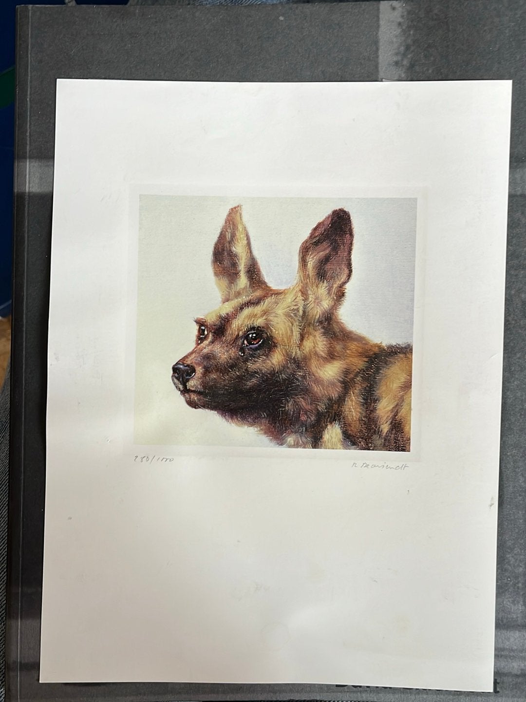 Wild dog - mniatuurtje Robert Devriendt 2002, Verzamelen, Postkaarten | Dieren, Ophalen of Verzenden