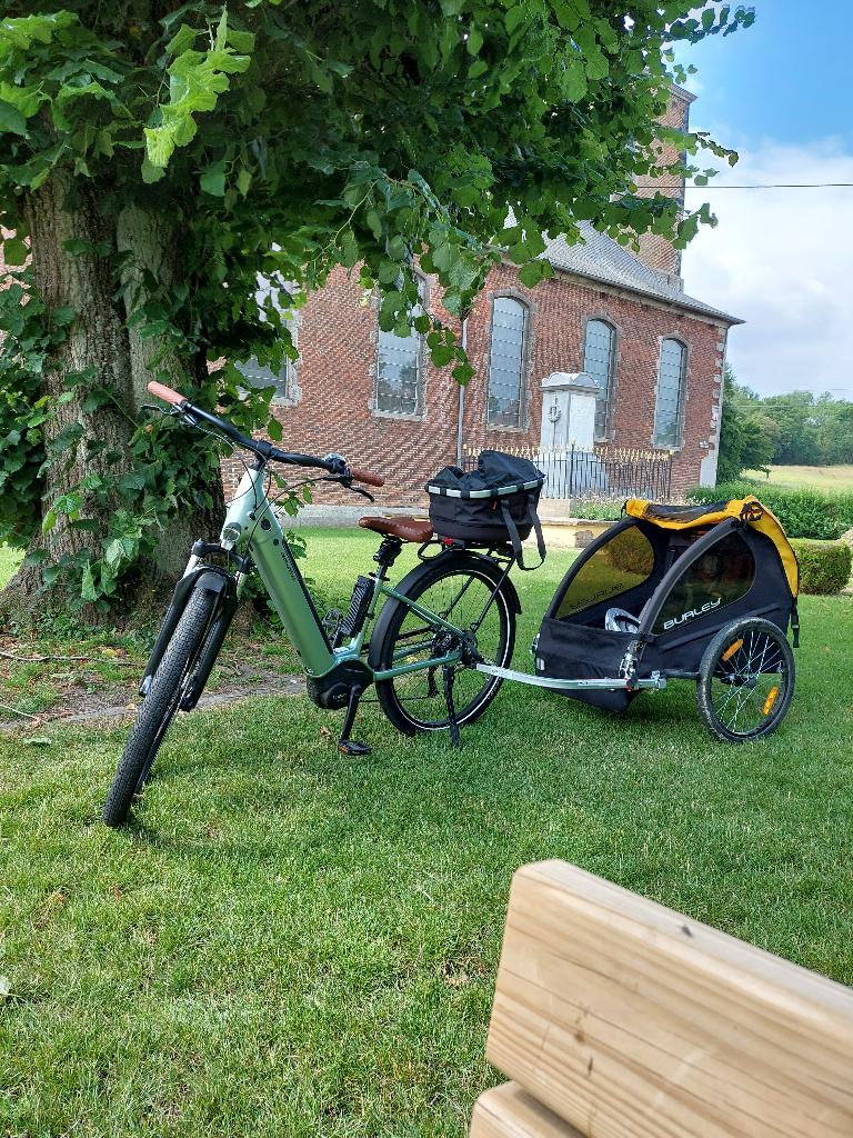 Remorque à vélo pour 2 enfants Burley Bee, Vélos & Vélomoteurs, Pliable, Enlèvement, Utilisé, Remorque pour enfant