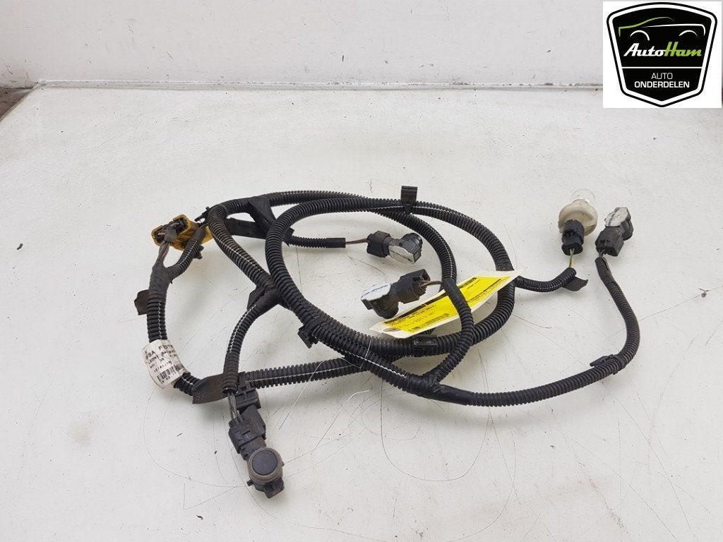 ENSEMBLE CAPTEURS AIDE AU STATIONNEMENT Peugeot (9676033080), Utilisé, Peugeot
