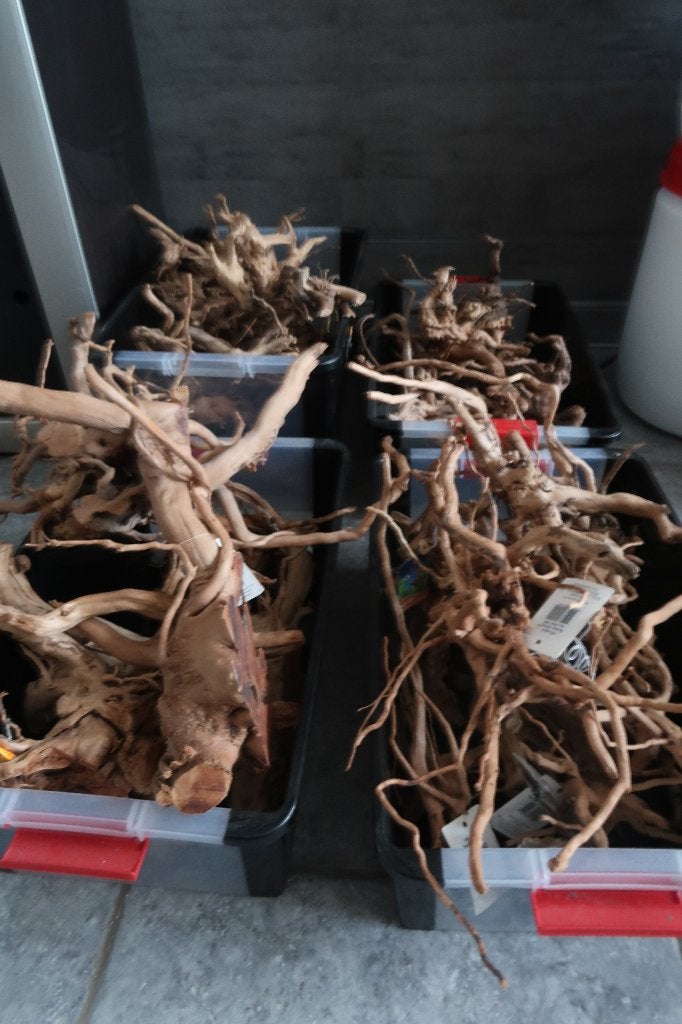 kienhout, Dieren en Toebehoren, Ophalen, Nieuw, Plant(en), Steen of Hout