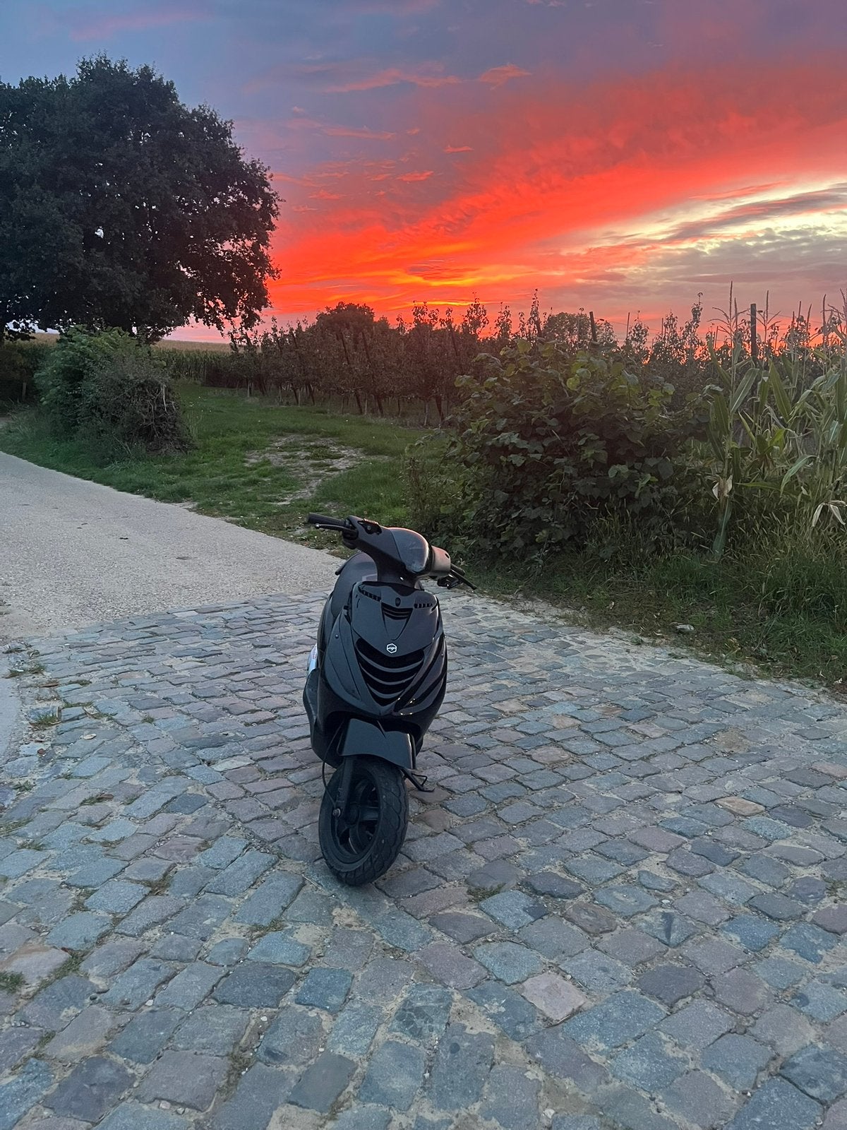 Piaggio Zip 2t, Fietsen en Brommers, Scooters | Piaggio, Ophalen, Zip