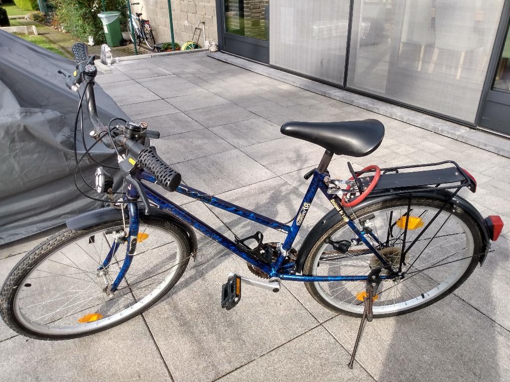Fietsen, Fietsen en Brommers, Ophalen, Gebruikt, Velgrem, Versnellingen
