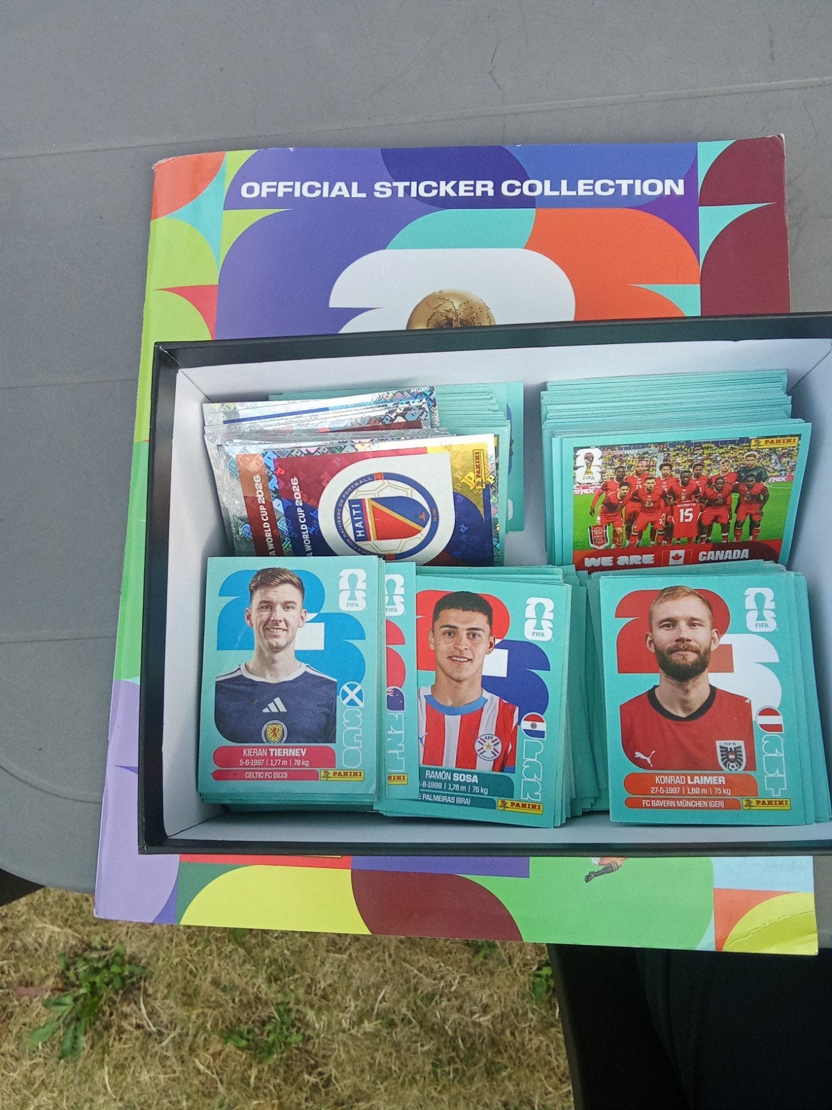 403 Panini stickers te koop, Enlèvement