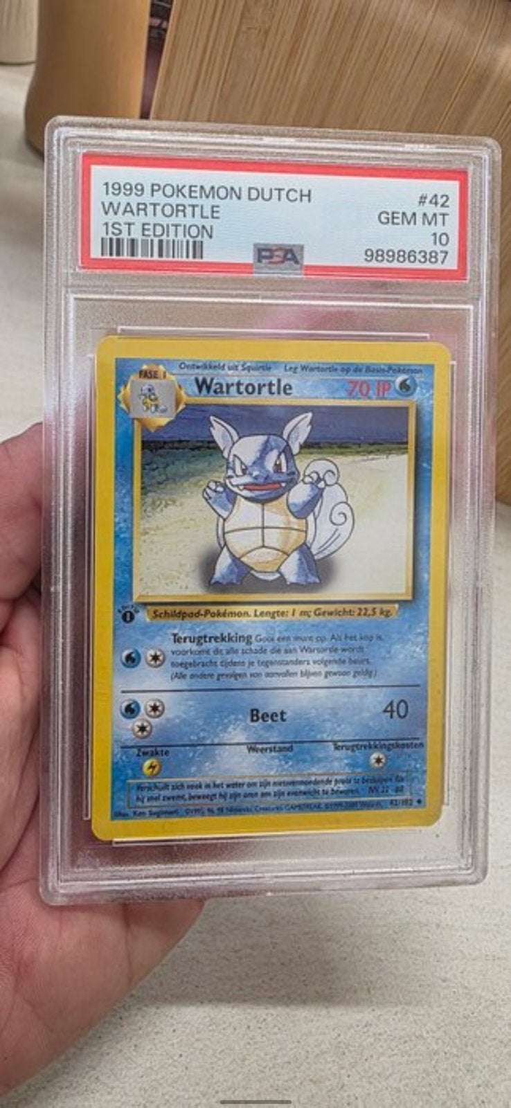 Wartortle 42/102 Base Set 1ère édition néerlandaise PSA 10, Neuf, Enlèvement ou Envoi, Foil, Cartes en vrac