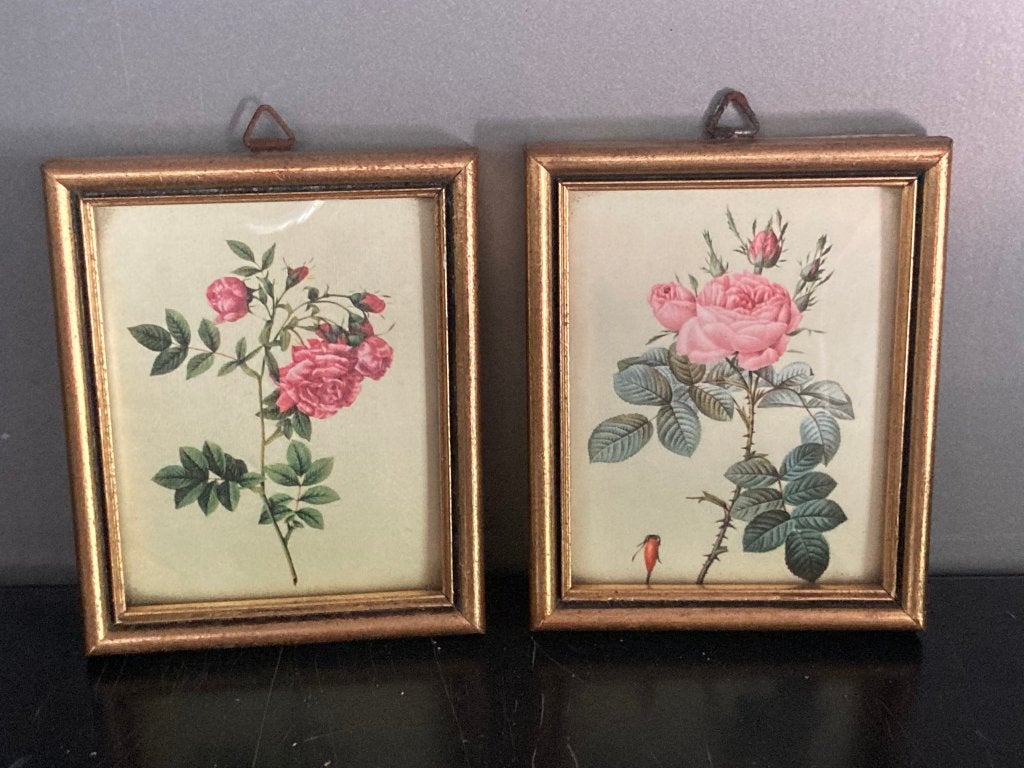 Ingelijste botanische illustraties van Pierre-Joseph Redouté, Enlèvement ou Envoi