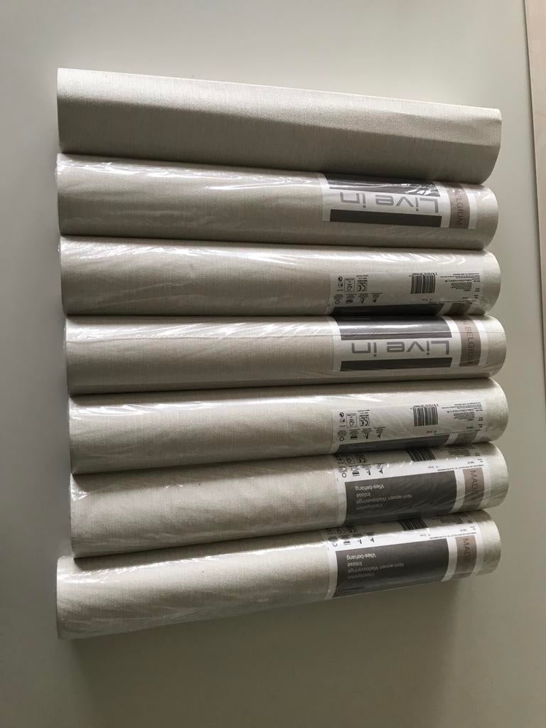 Papier peint polaire, Enlèvement, 25 à 50 m², Gris