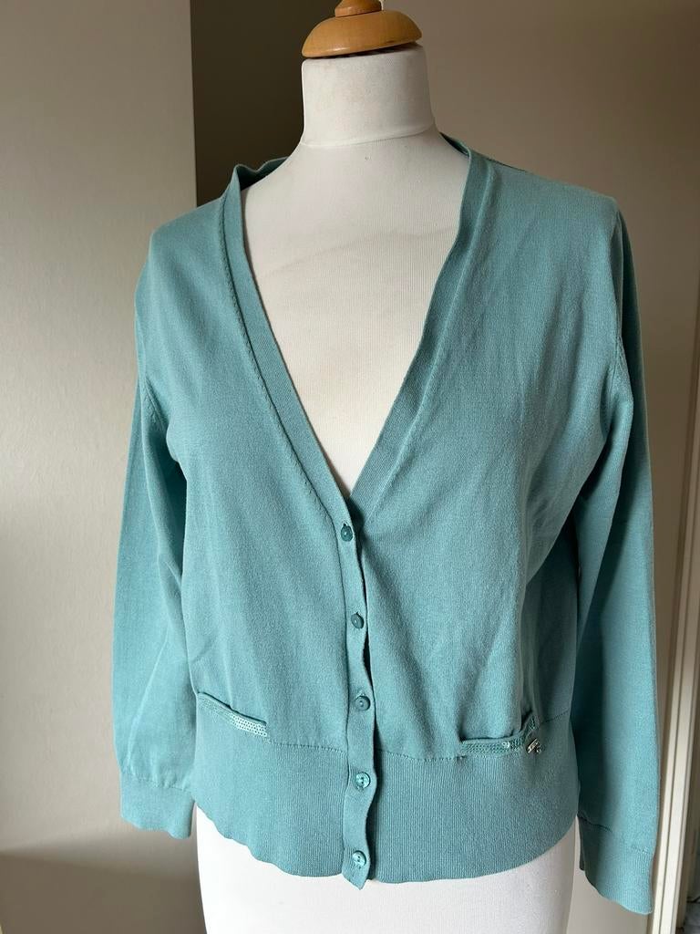 Gilet Terre Bleue 44 Nieuwstaat., Terre Bleue, Maat 42/44 (L), Ophalen of Verzenden, Zo goed als nieuw