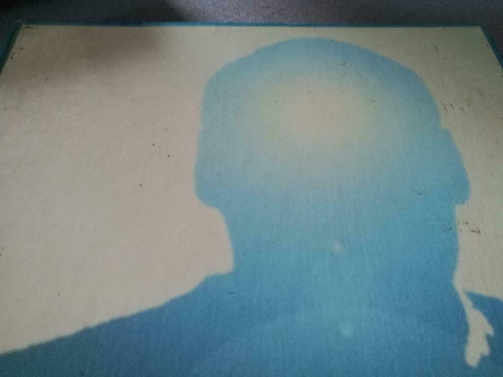 Dennis Hopper Photos groot formaat 135pag 130ill, Boeken, Ophalen of Verzenden, Gelezen, Overige onderwerpen