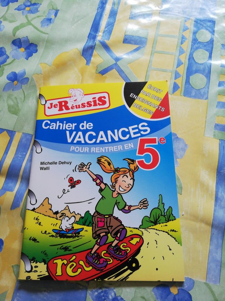 Cahier de vacances pour rentrer en 5e primaire., Livres, Enlèvement ou Envoi, Comme neuf, Primaire