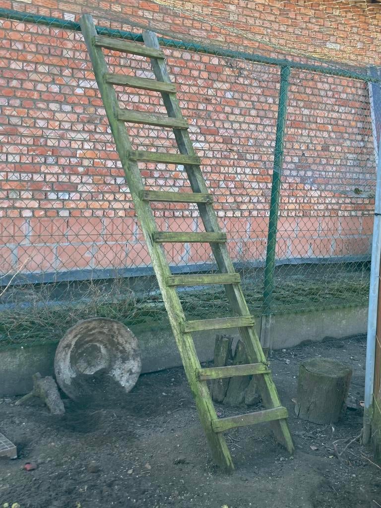 Decoratieve houten tuin ladder, Tuin en Terras, Tuinwanddecoratie, Gebruikt, Ophalen