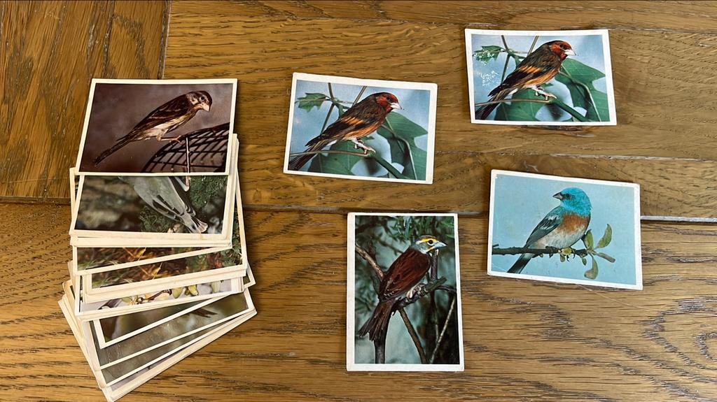 Collectionnez des images avec des oiseaux, Enlèvement ou Envoi, Utilisé