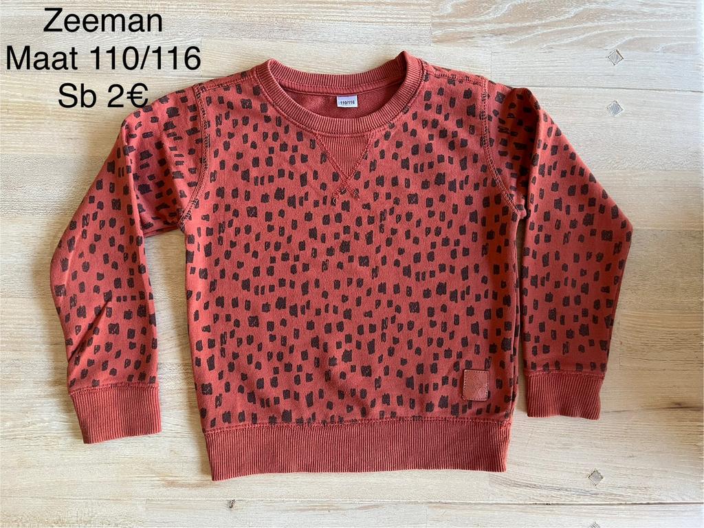 Pakket jongens maat 110, Kinderen en Baby's, Kinderkleding | Maat 110, Ophalen, Zo goed als nieuw
