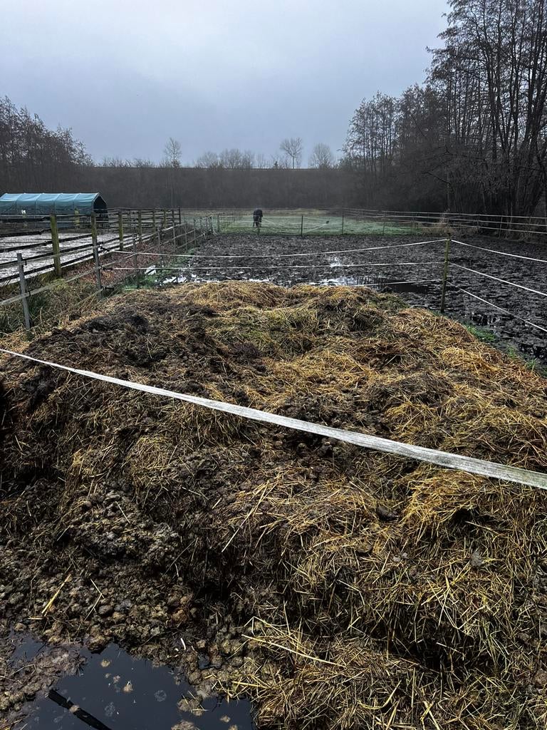 Gratis paardenmest, Enlèvement, Fumier