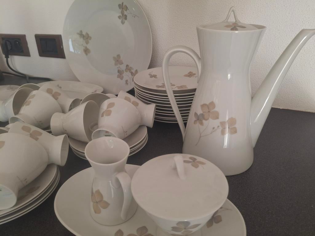 Rosenthal Germany porselein koffie- theeservies uit 1962., Enlèvement