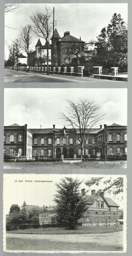 3 x GEEL  -  Kolonie  - zie scan, Verzamelen, Verzenden, 1940 tot 1960, Ongelopen, Antwerpen