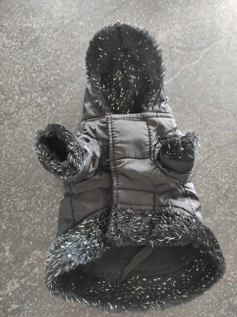 Regenjasje chihuahua, Ophalen of Verzenden, Gebruikt, Hondenvest
