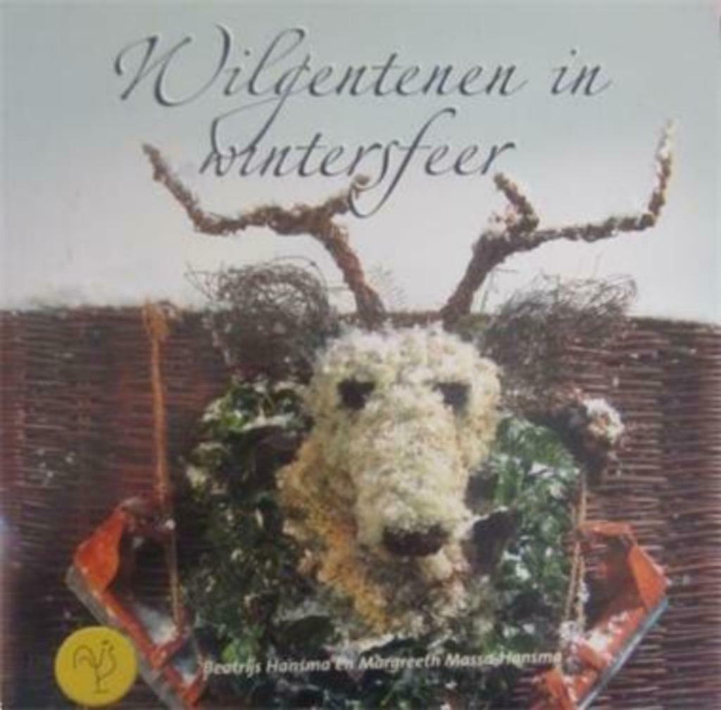 Wilgentenen in wintersfeer, Beatrijs Hansma, Ophalen of Verzenden, Gelezen