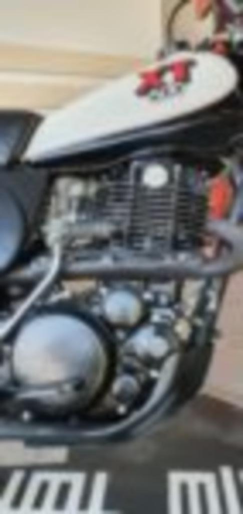 Yamaha XT500, Bedrijf, Enduro, Minimaal motorrijbewijs A2, 1 cilinder
