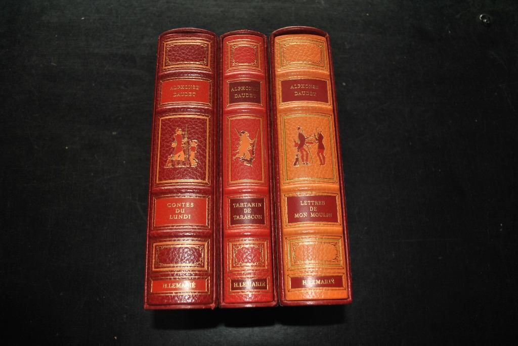 ALPHONSE DAUDET ILLUSTRATION HENRY LEMARIE 3 VOLUMES RELIURE, Ophalen of Verzenden, Zo goed als nieuw, Alphonse Daudet Lemarié