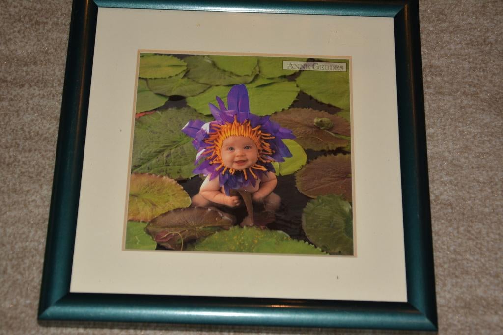 Anne Geddes kadertje, Ophalen of Verzenden, Zo goed als nieuw