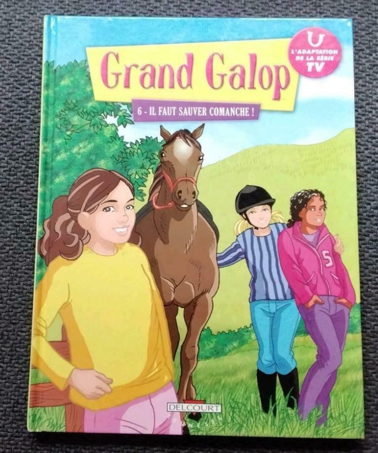 Grand galop, Livres, Enlèvement ou Envoi, Comme neuf