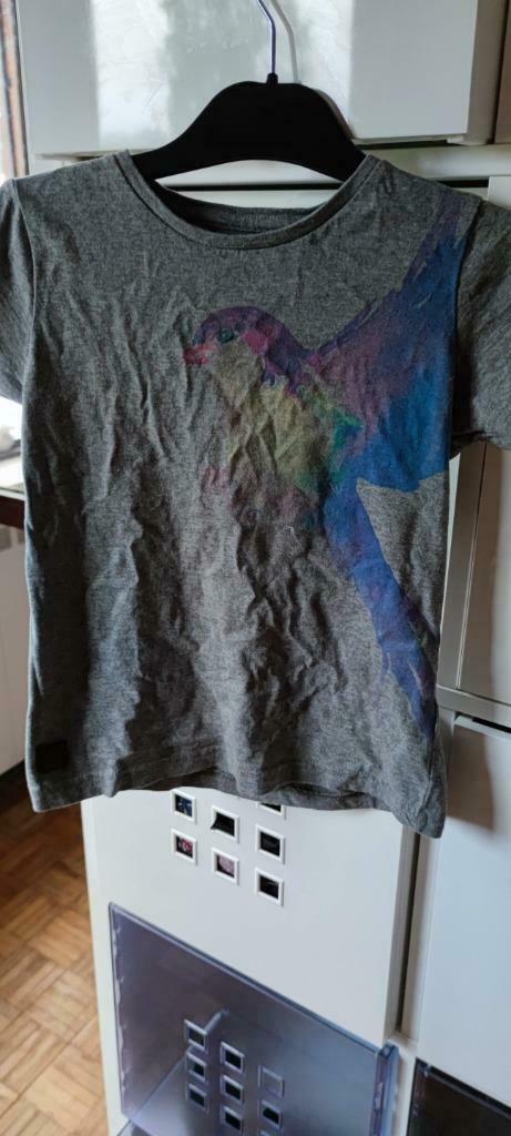 Ayacucho kolibrie t-shirt vogel mooi grijze shirt 8j 122 128, Jongen of Meisje, Nieuw, Ophalen of Verzenden, Shirt of Longsleeve