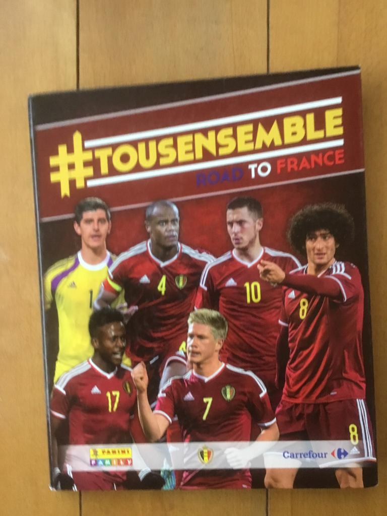 Panini: Tousensemble Road to France. Rode Duivels (BV2), Ophalen of Verzenden, Gelezen, Balsport