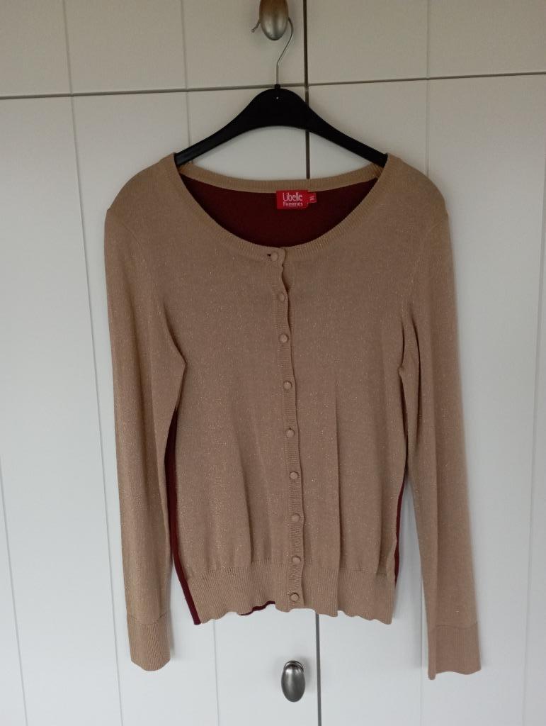 Gilet en tricot tendance Libelle by E5 à col rond en 2 coule, Vêtements | Femmes, Neuf, Taille 38/40 (M), Enlèvement ou Envoi