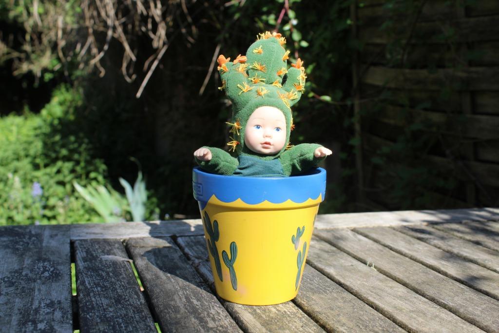 Anne Geddes Baby Cactus, Verzamelen, Ophalen of Verzenden, Zo goed als nieuw, Pop