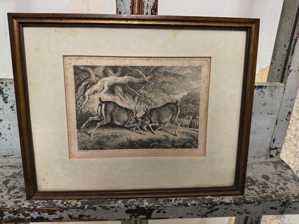 Lot 4 x gravures de Howitt, thème de la chasse, Enlèvement ou Envoi